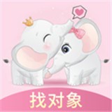 组CPapp官方