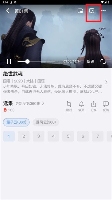 猫猫番剧网官方正版