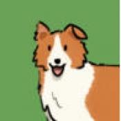 犬驱羊归最新版安卓