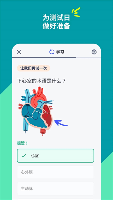 Quizlet单词卡安卓版3